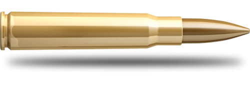 Náboj SB 8x57 JS 2910 FMJ 12,7g - Obrázek Náboj SB 8x57 JS 2910 FMJ 12,7g - Obrázek